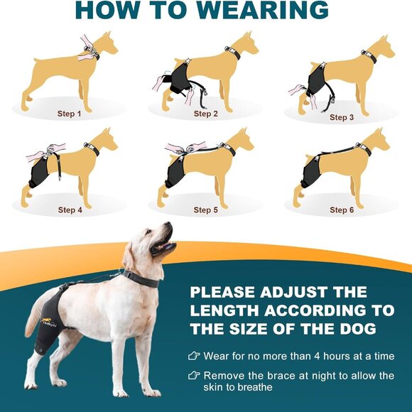 Dog Knee Brace for Torn ACL Hind Leg, Hot/Cold Compress (Right Leg,M) - Picture 6 of 6